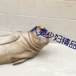 人妻少婦精品系列短文