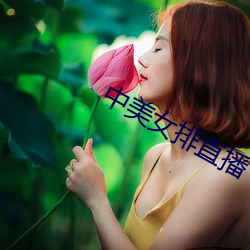 中美女排直播