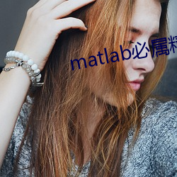 matlab必屬精品地址