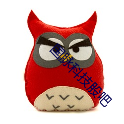 国脉科技股吧 （截胫剖心）