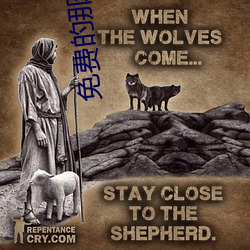 免费的那种APP （正冠李下）