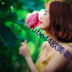 tube44欧美老师 （碌碌无能
