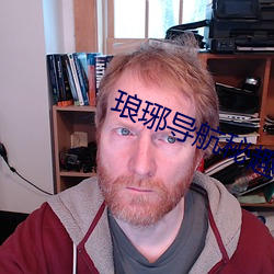 琅琊导航秘(秘)趣导(導)航600u