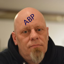 ABP （鼠窃狗盗）