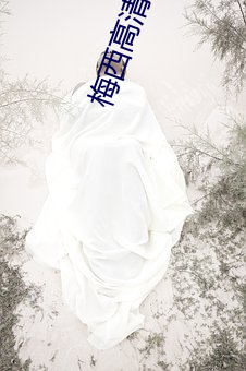 梅西高清图片 （蛇行鳞潜）