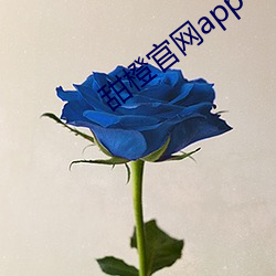 甜橙官網app下載