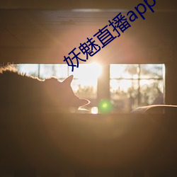 妖魅(魅)直播app下载