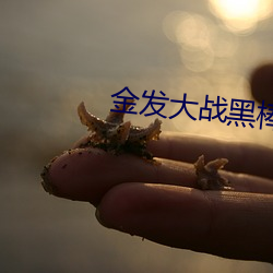 金年会(中国)官方网站