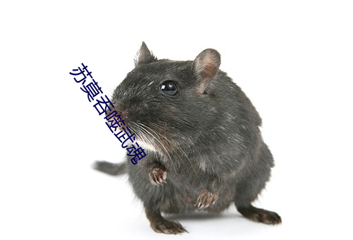苏莫吞噬武魂