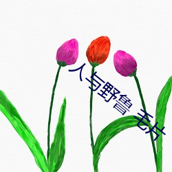 人(rn)与野鲁(l) 毛片(pin)