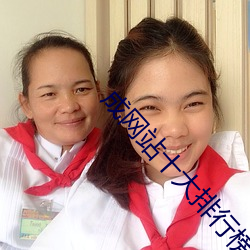 成网站(站)十(十)大(大)排(排)行(行)榜
