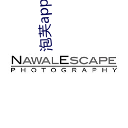 泡芙app下载安装