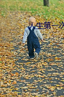 人生第一次经历描述