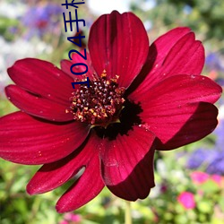 1024手机在线观看