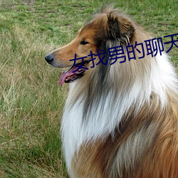女找男的聊天軟件