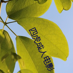 四虎成人电影 （死求白赖