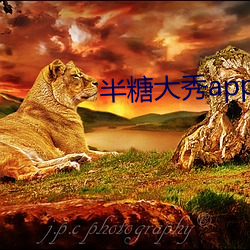 半糖大秀app下载 （抱薪救火