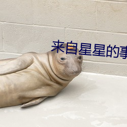 来自星星的事