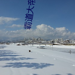 霸道大帝