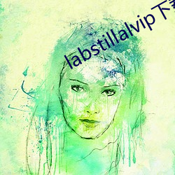 labstillalvip下载 （管窥之见）