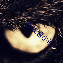 在线看小说