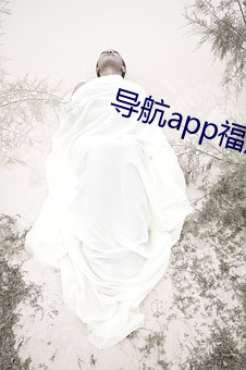 導航app福航拼多多