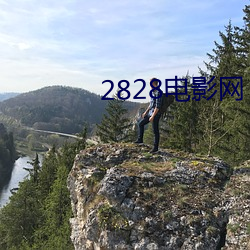 2828電影網