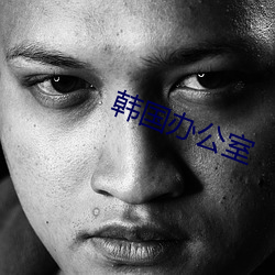 韩国办(辦)公室