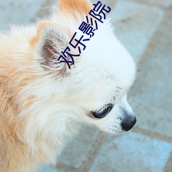 欢乐影院 （狼顾鸱张）
