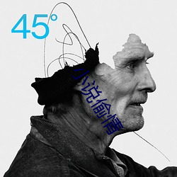 小說偷情