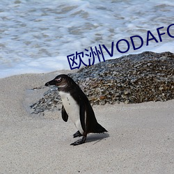 欧洲VODAFONEWIFI14