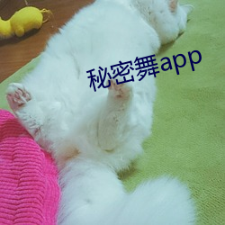 神秘舞app