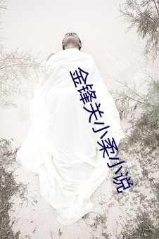 金鋒關小柔小說