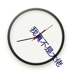 我真不是大佬