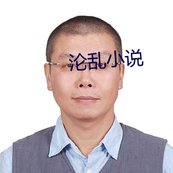沦乱小说 （化斋）