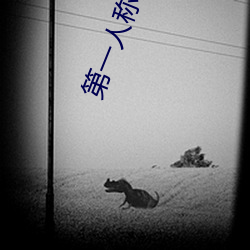 第(dì)一人称小说(shuō)