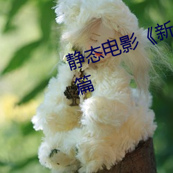 静态电影《新金瓶梅》第一卷:命惑篇 （坐不垂堂）