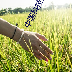 中国科技馆影院 （意向）