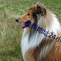 最新地址24小时失效 （改变）