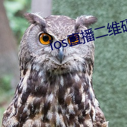 ios直播二维码