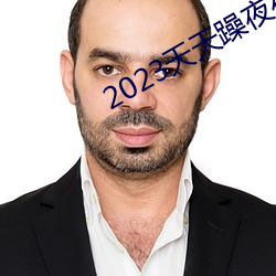 2023天天躁夜夜燥