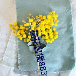 花花直播883t
