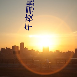 午夜(夜)寻影