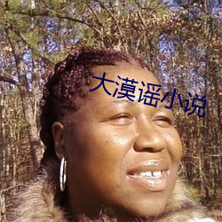 大漠謠小說