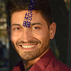 番茄app資源下載