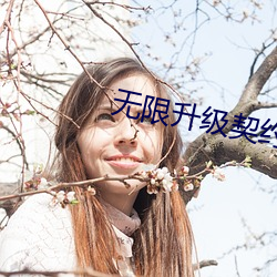 無限升級契約流