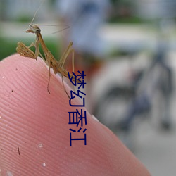 梦幻(huàn)香江