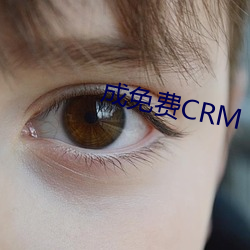 成免费CRM