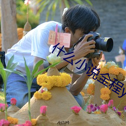 什么小说全程yellow （酒涡）
