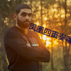 凤凰四重奏粤语